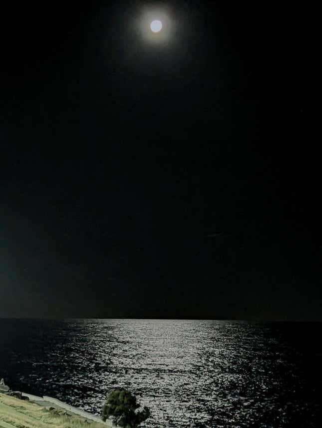 Εικόνα για το άρθρο με τίτλο Το ράφι τυχερών παιχνιδιών είναι ένας εξαγριωμένος, θεοκτόνος κουκουβάγιας κοκαΐνης