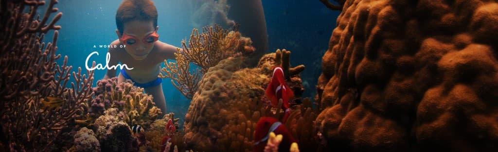 A WORLD OF CALM SLIDER