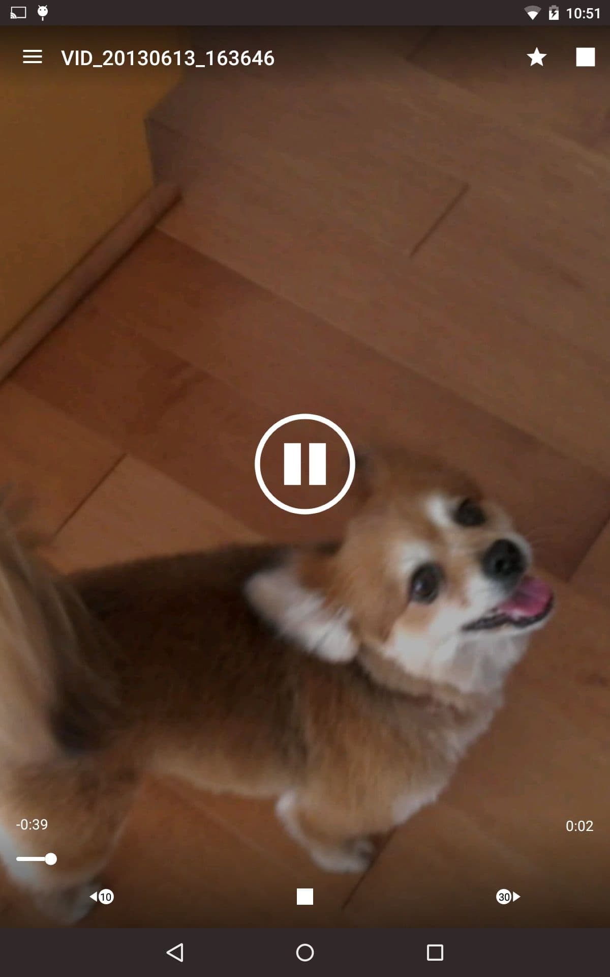 βίντεο του σκύλου που παίζει σε εφαρμογή all cast