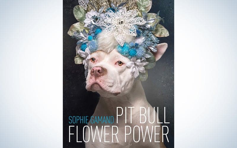 Pit Bull Flower Power
