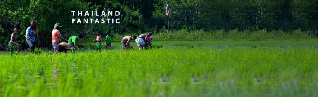 ThailandFantastic slider