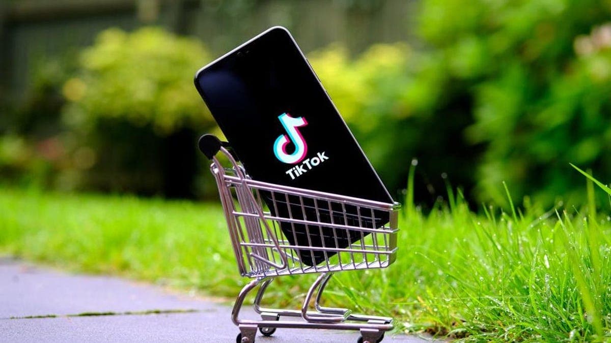 TikTok to Launch Shopping in Competition With Shein, Temu