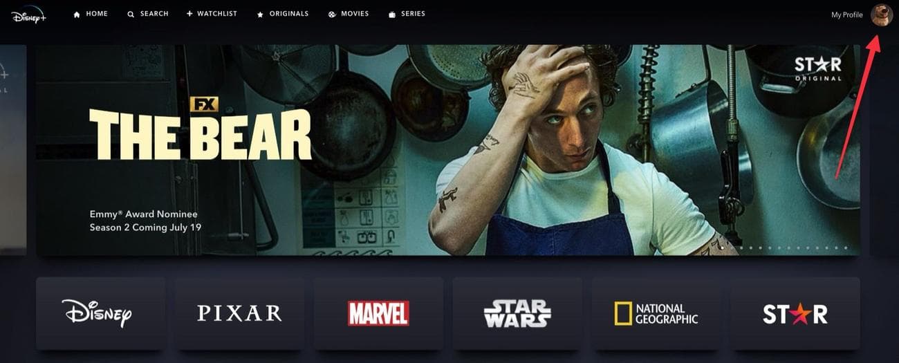 Στιγμιότυπο οθόνης αρχικής σελίδας ιστότοπου Disney+