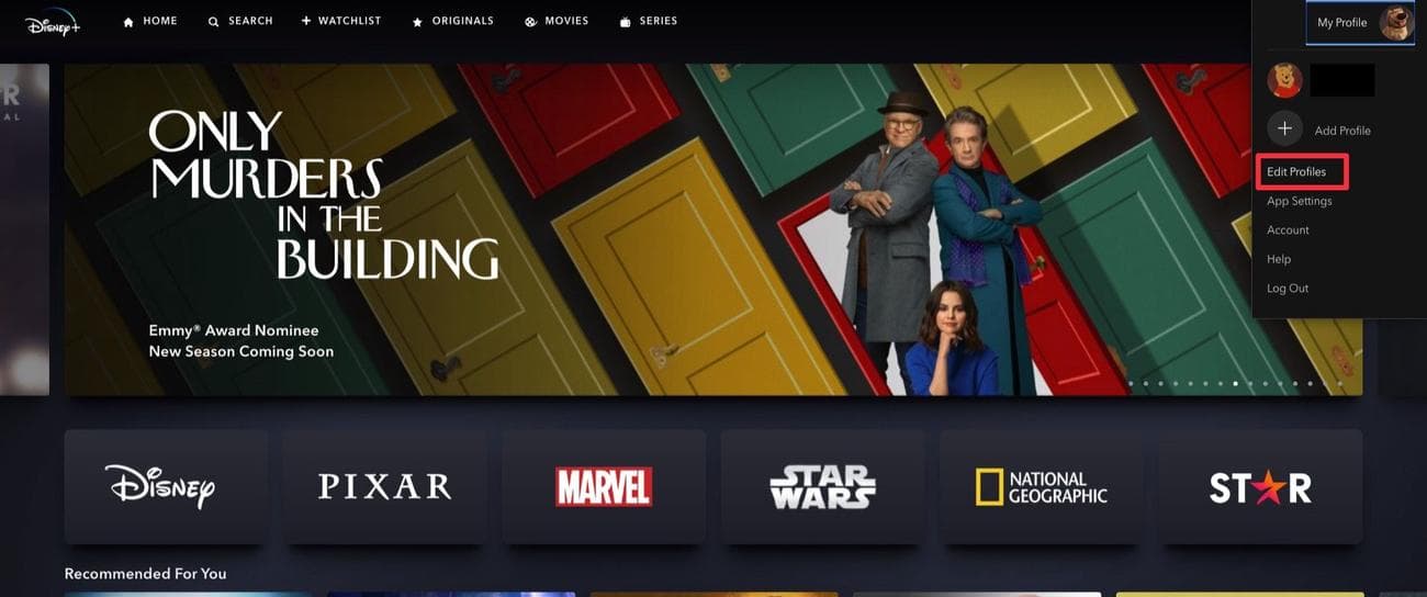 Στιγμιότυπο οθόνης μενού προφίλ Disney+ που δείχνει την επιλογή Επεξεργασία προφίλ