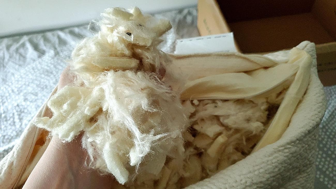 άτομο που κρατά μια χούφτα τεμαχισμένο εσωτερικό υλικό μαξιλαριού