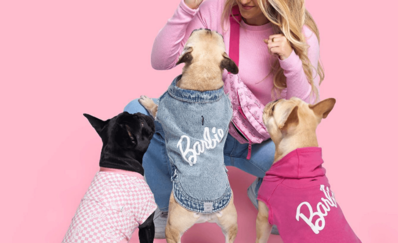 Άτομο που ταΐζει λιχουδιές σε τρία σκυλιά φορώντας ρούχα με θέμα τη Barbieq