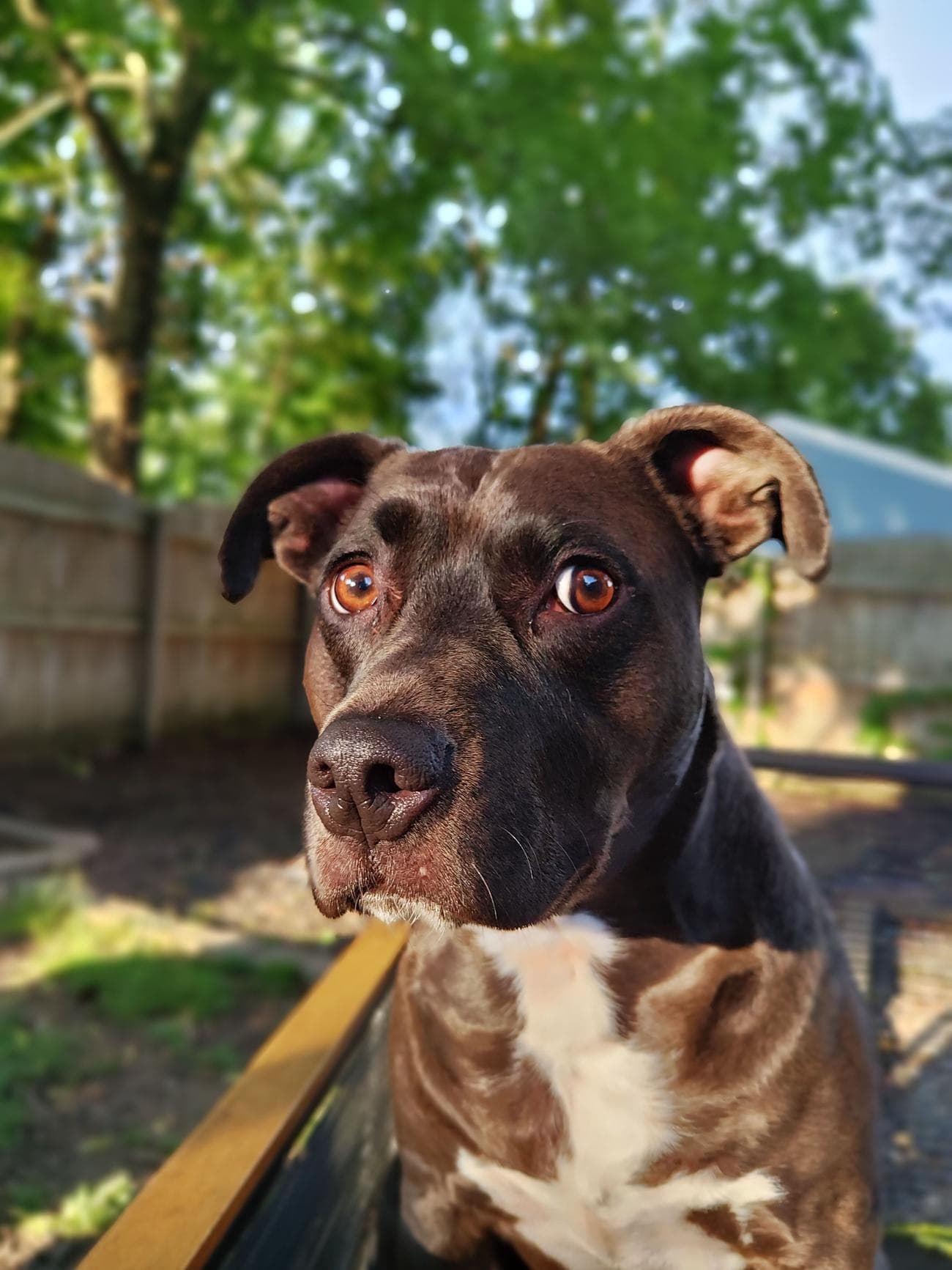 IMG_20230703_193548960