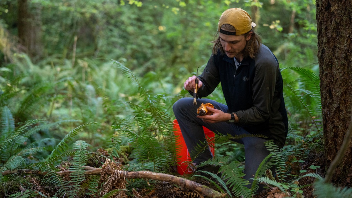Η αγορά άγριων τροφίμων της Foraged σημείωσε επαναλαμβανόμενη αύξηση του ποσοστού πελατών πάνω από 1.000%
