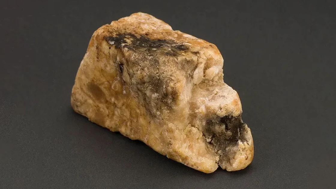 Καθηγητής ανακάλυψε «πλωτό χρυσό» αξίας €500.000