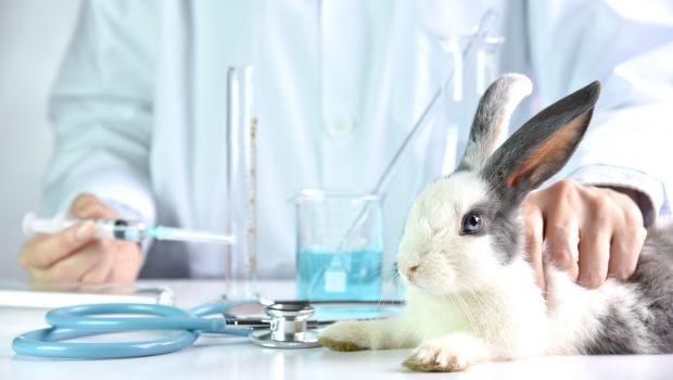 Και ο Καναδάς βάζει τέλος στην δοκιμές καλλυντικών σε ζώα