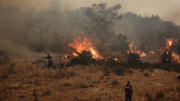«Καμπανάκι» Λέκκα για τις φωτιές στην Αττική: Δεν μπορούμε να χάσουμε άλλο πράσινο