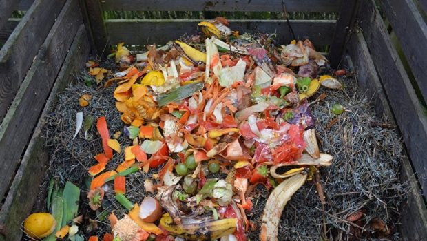 Ναυτιλία: Η BP επενδύει στην παραγωγή καυσίμων από οργανικά απόβλητα