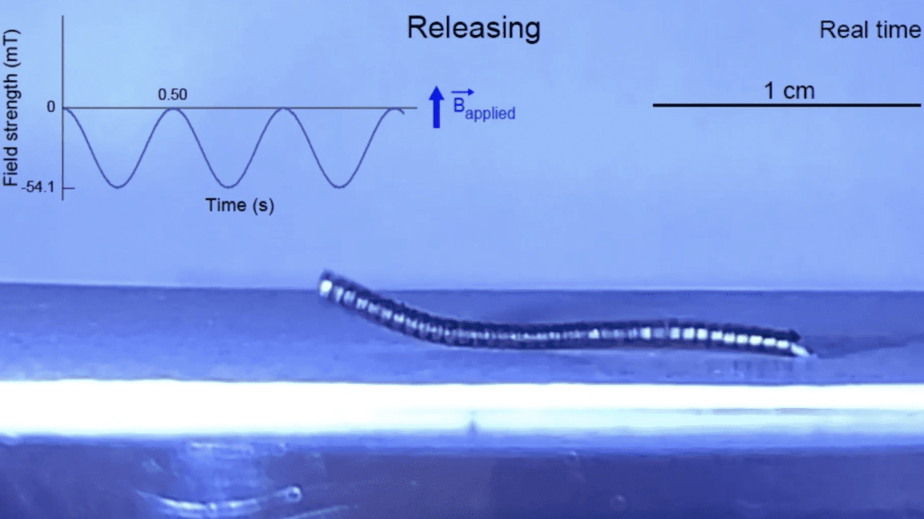 Screenshot of inching magnetic soft robot