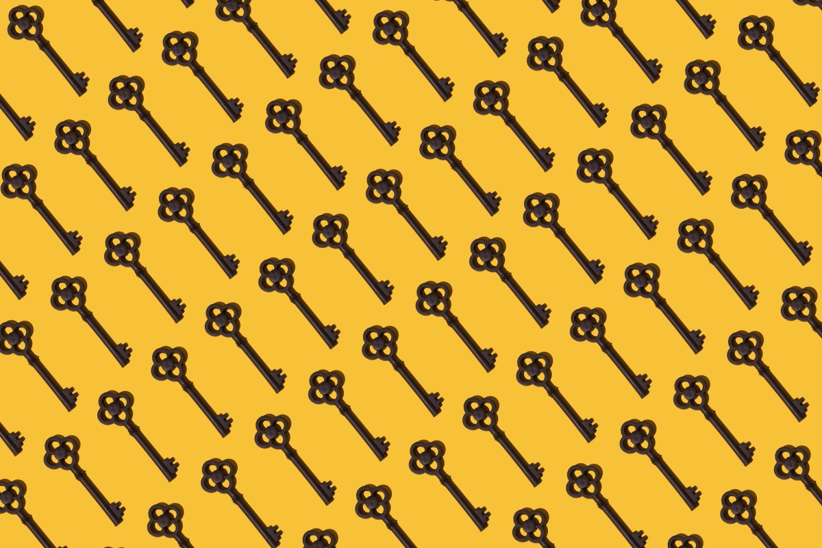 Οι υπηρεσίες κυβερνοχώρου των ΗΠΑ και της Αυστραλίας προειδοποιούν ότι τα ελαττώματα ασφαλείας του IDOR μπορούν να αξιοποιηθούν «σε κλίμακα»
