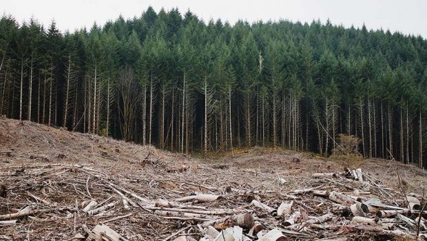 Οικοσυστήματα: Συνεχίζεται το θρίλερ για τον Κανονισμό της ΕΕ περί αποκατάστασης της φύσης