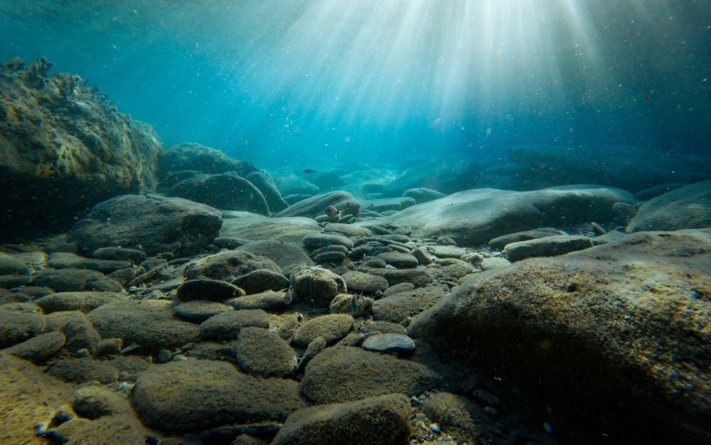 Inside the sea water blue and with several walls of different sizes in it.