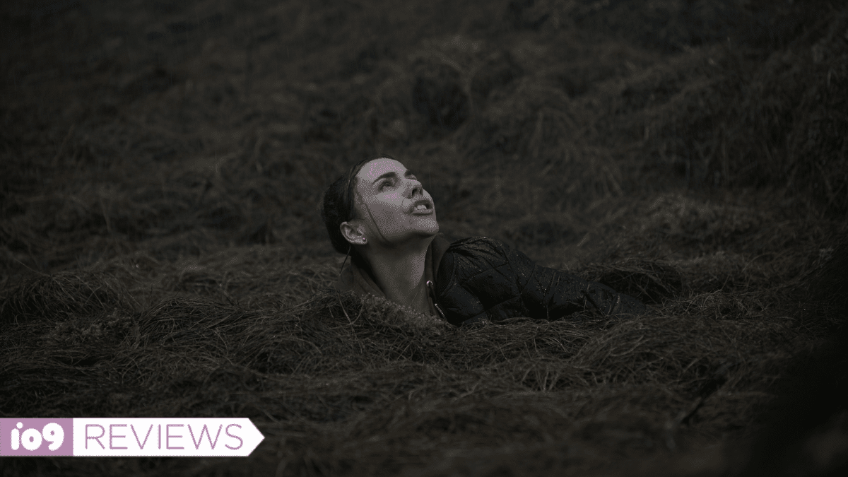 Ταινία τρόμου Survival, Νέα στο Shudder