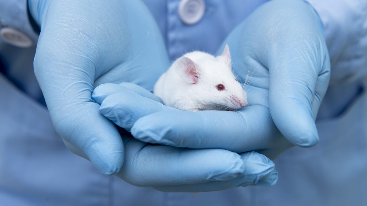 Το CDC βρίσκει 20 μολυσματικούς παράγοντες σε μη αδειοδοτημένο εργαστήριο της Καλιφόρνια
