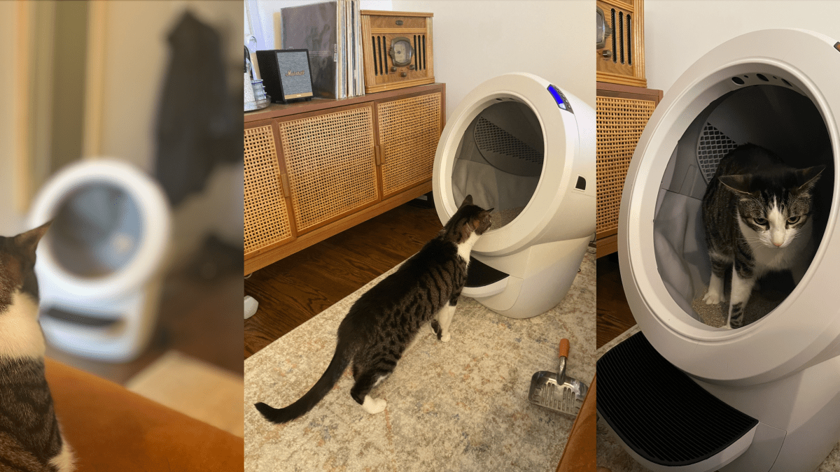Το Litter-Robot 4 κάνει ό,τι λέει - αλλά είναι αρκετό;
