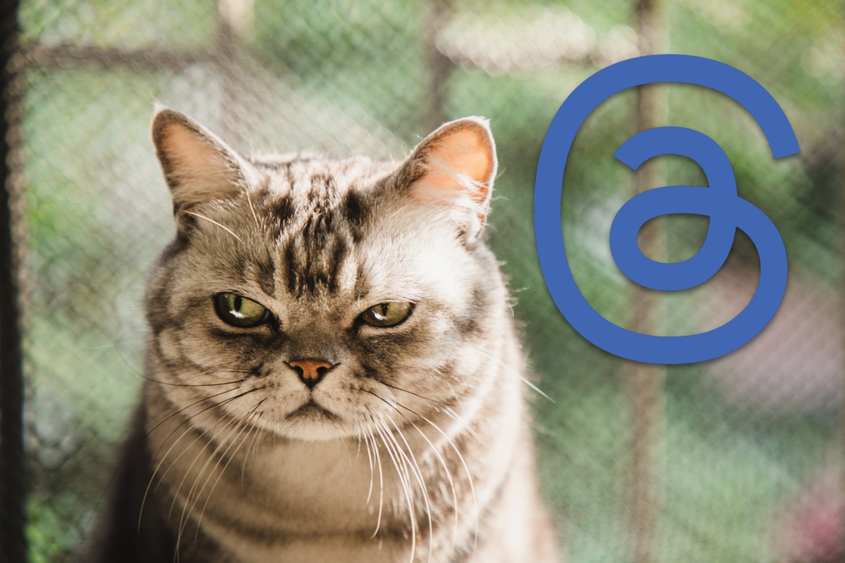 Το Threads δεν αξίζει το FOMO μου, αλλά εδώ είμαστε
