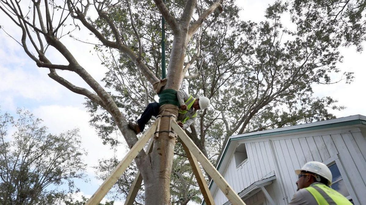 Φυτέψτε ένα τρισεκατομμύριο δέντρα και αντλήστε αυτό το αέριο, λέει ο πρόεδρος της Βουλής
