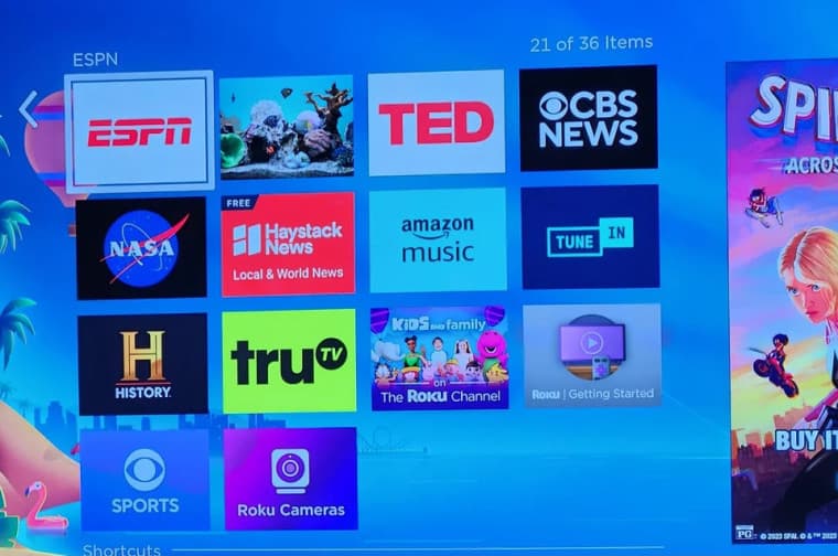 roku home screen