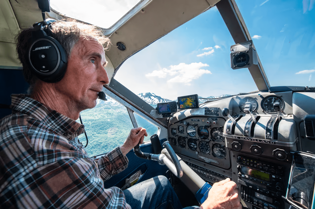 , Feral cows took over a remote Alaskan island, TechWar.gr