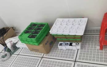 , Νέα διαρροή Huawei Mate 60 επιβεβαιώνει τη σχεδίαση διπλού χρώματος, TechWar.gr