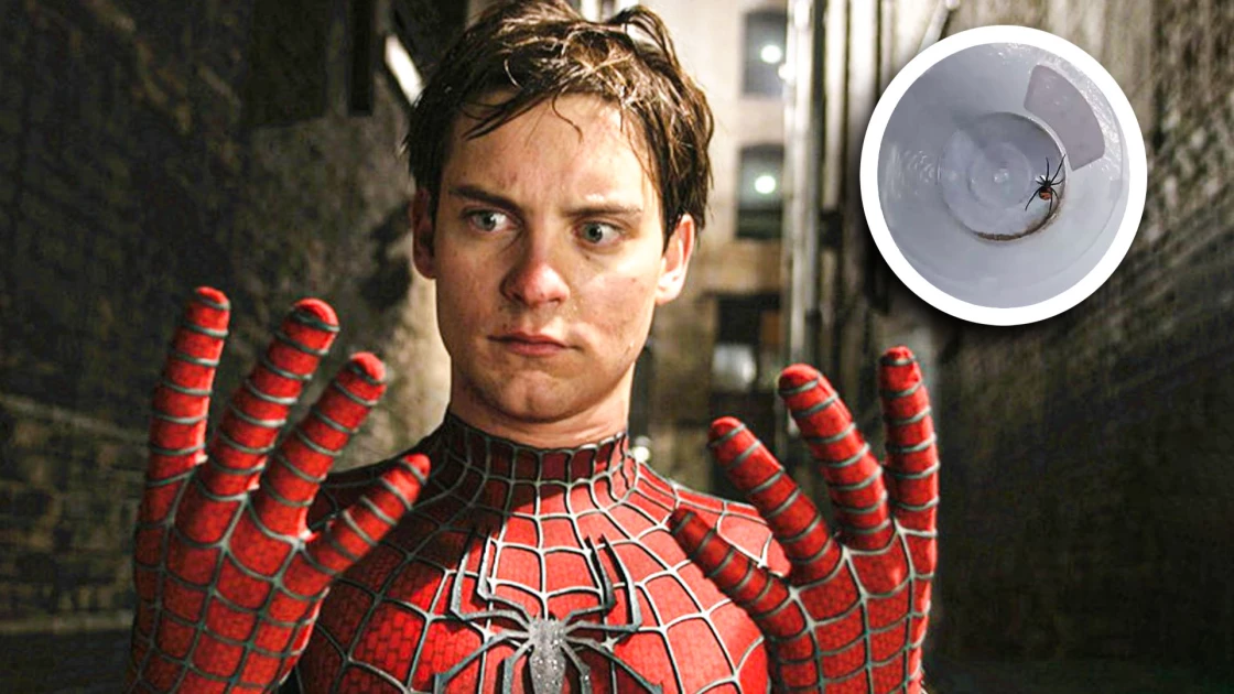 8χρονο αγόρι άφησε μια μαύρη χήρα να τον τσιμπήσει επειδή ήθελε να γίνει ο Spider-Man (ΦΩΤΟ)