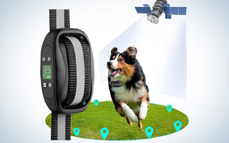 , The best invisible dog fences for 2023, TechWar.gr