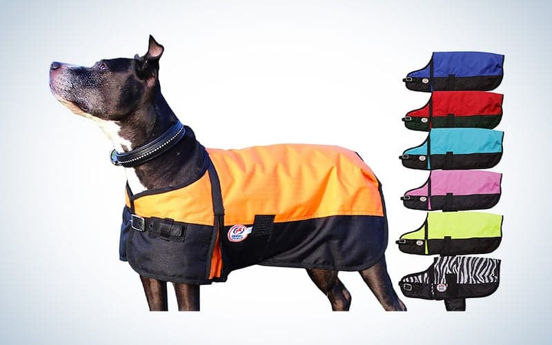 , The best dog coats of 2023, TechWar.gr