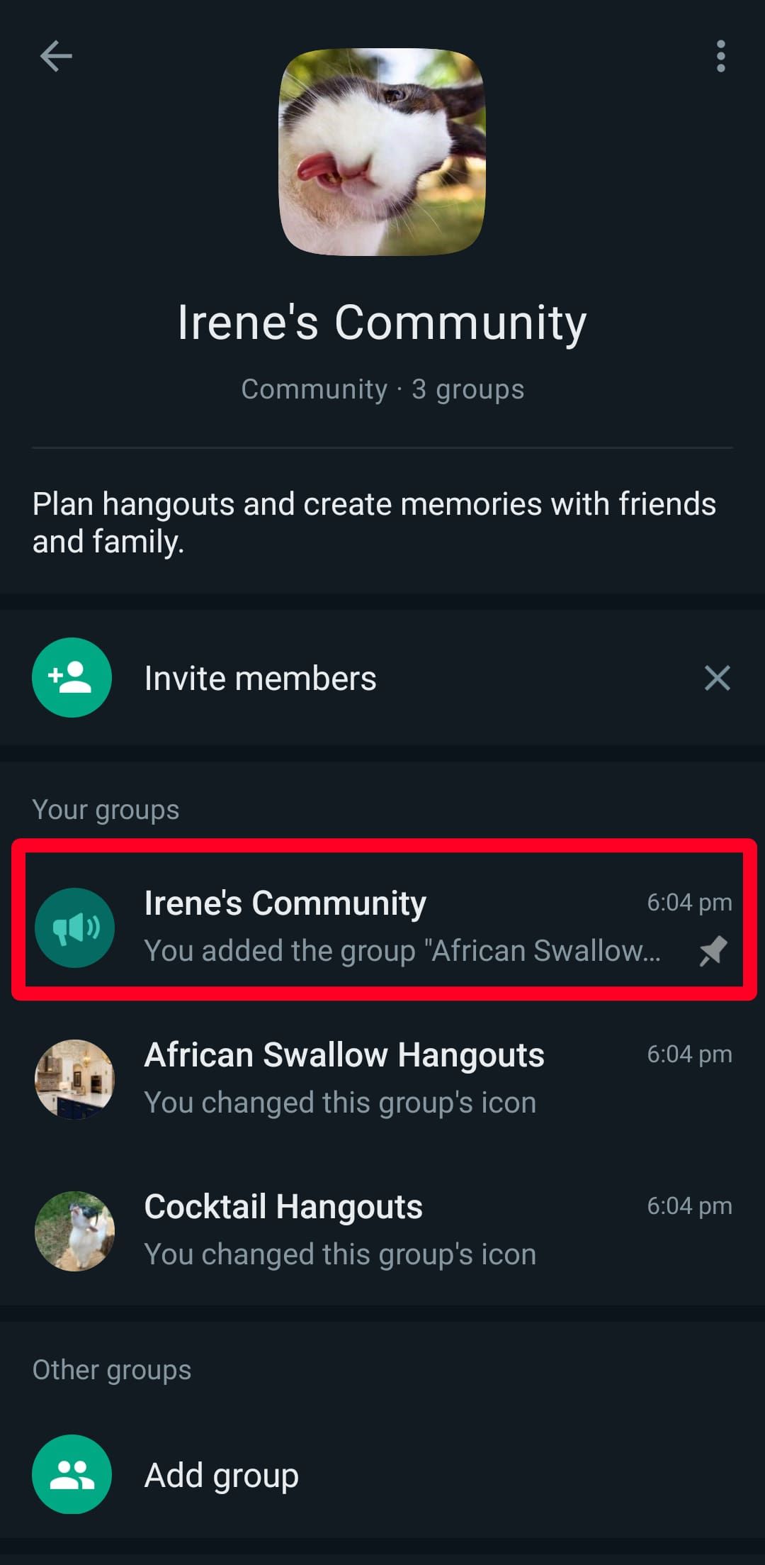access WhatsApp community