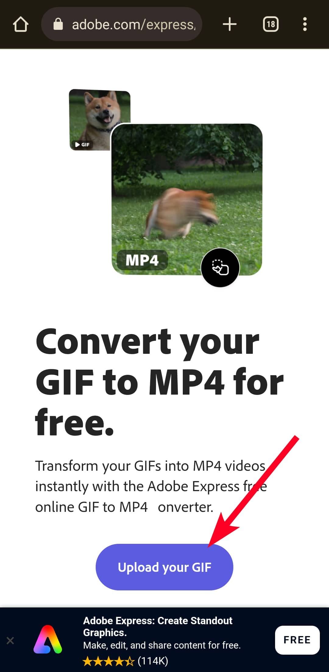 Ιστοσελίδα μετατροπής GIF σε βίντεο Adobe Express