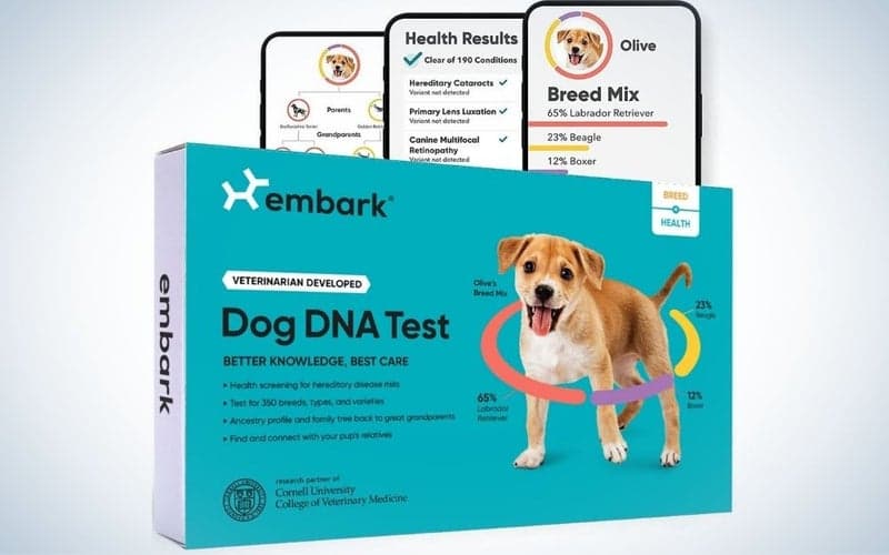 , The best DNA test kits of 2023, TechWar.gr