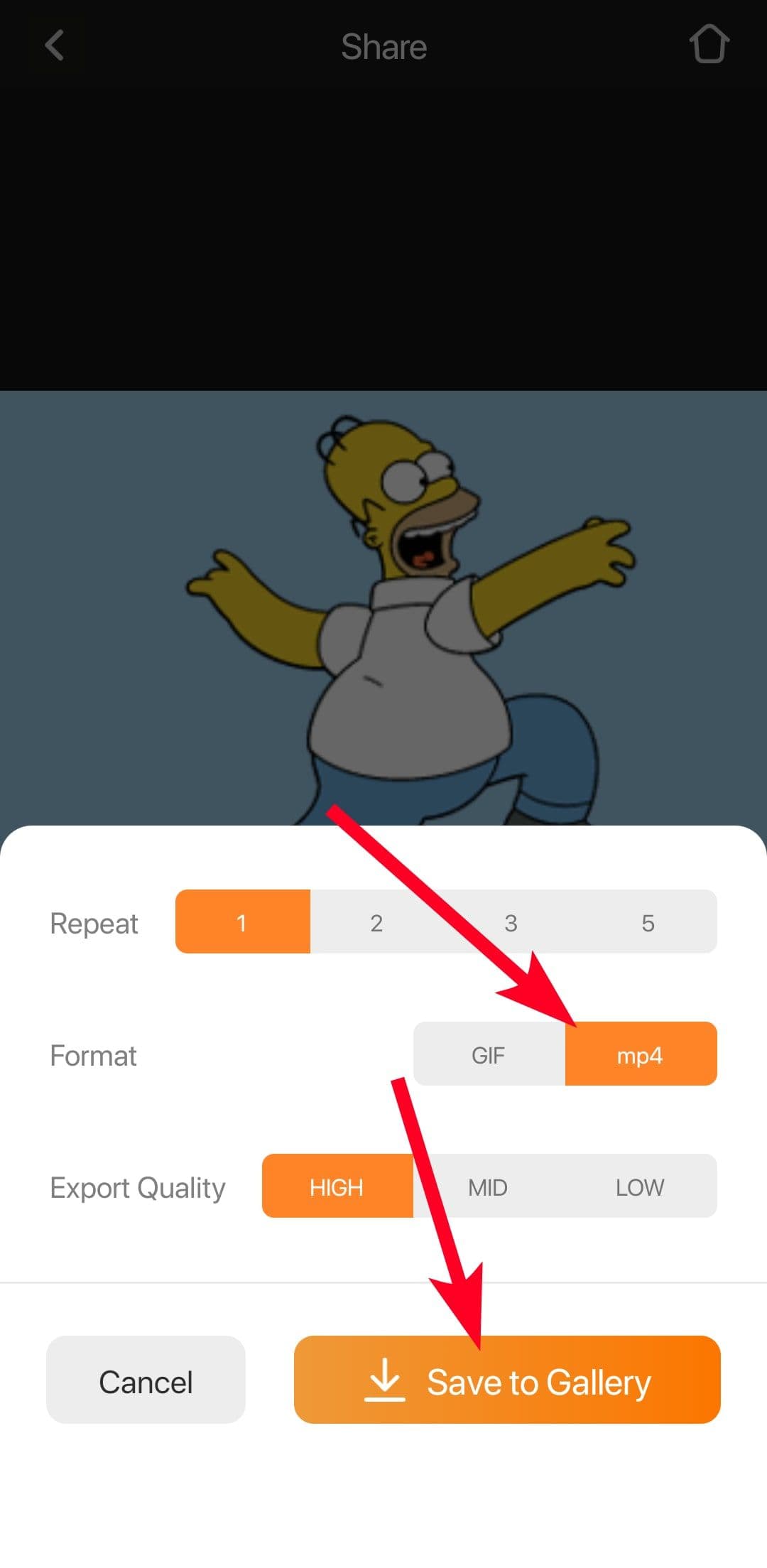 Εξαγωγή GIF ως αρχείου MP4 στην εφαρμογή GIFBuz για κινητά