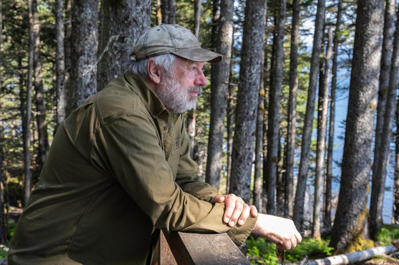 , Feral cows took over a remote Alaskan island, TechWar.gr