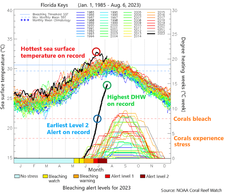 , Scientists are on the rescue for Florida’s reefs, TechWar.gr