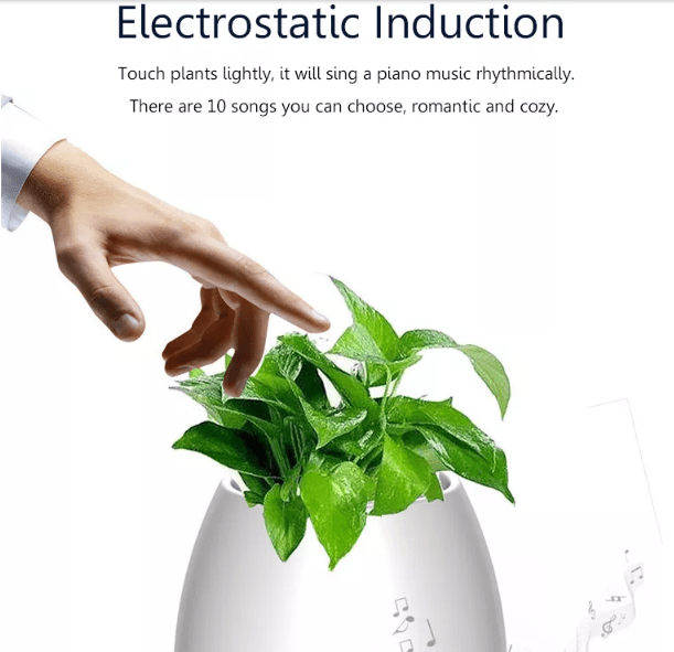 , Honana FGP1 : Κασπώ για το φυτό σας, που παίζει μουσική οταν ακουμπάτε τα φύλλα και έχει και φωτάκι νυκτός με 14.9€!, TechWar.gr