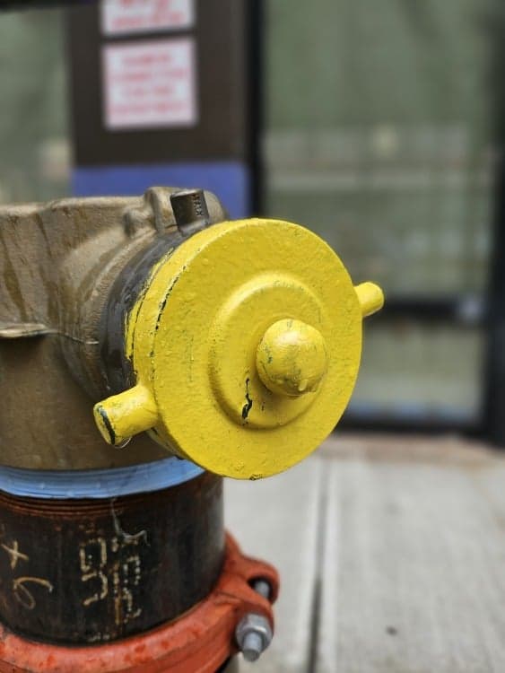 Κίτρινος πυροσβεστικός κρουνός πυροβολήθηκε σε λειτουργία πορτραίτου στο Z Flip 5