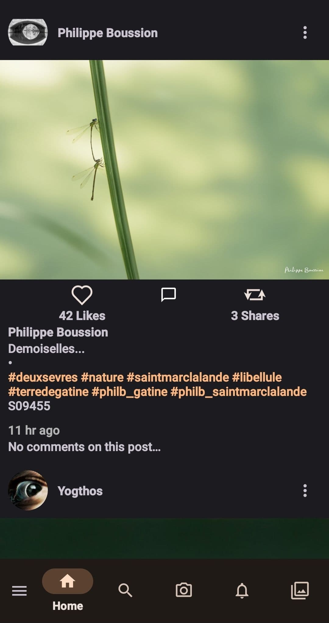 , Οι καλύτερες εναλλακτικές λύσεις Twitter και X, TechWar.gr