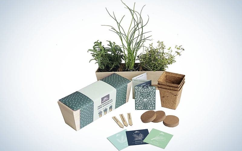 , The best indoor herb gardens of 2023, TechWar.gr