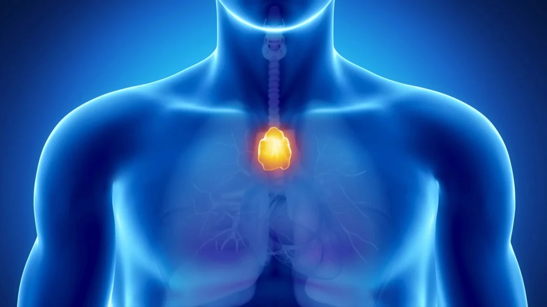 “Άχρηστο“ όργανο που συχνά αφαιρούμε, μπορεί να μας προστατεύει από τον καρκίνο