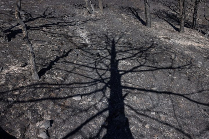 Έφτασε η ανθρωπότητα στο σημείο χωρίς επιστροφή; Στα αέρια του θερμοκηπίου η απάντηση