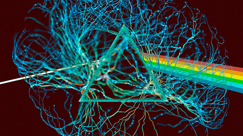 Επιστήμονες αναπαρήγαγαν τραγούδι των Pink Floyd «ακούγοντας» τα εγκεφαλικά κύματα των ανθρώπων