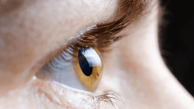 Θεραπεία με βλαστοκύτταρα επαναφέρει την όραση σε τραυματίες