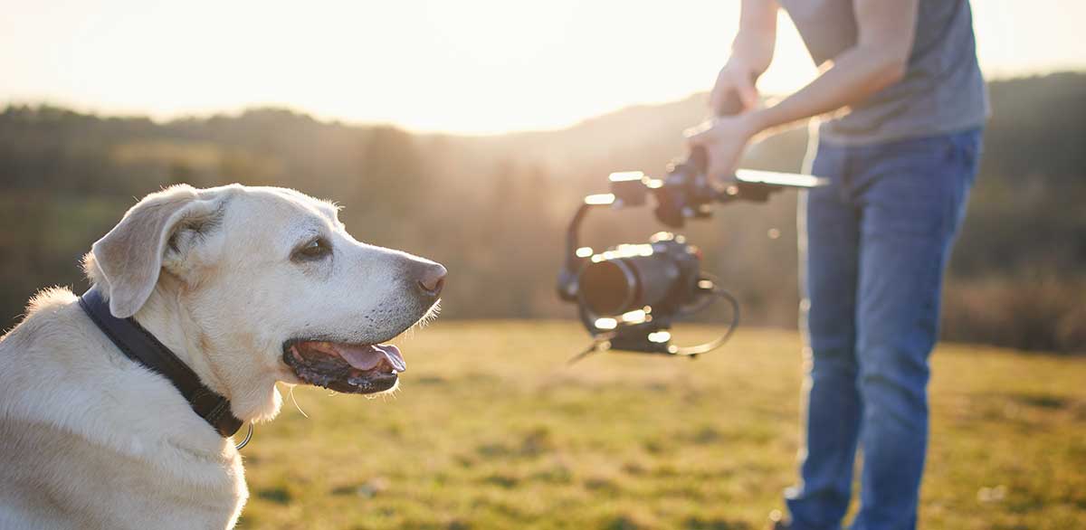 Λήψεις με gimbal - techpress.gr