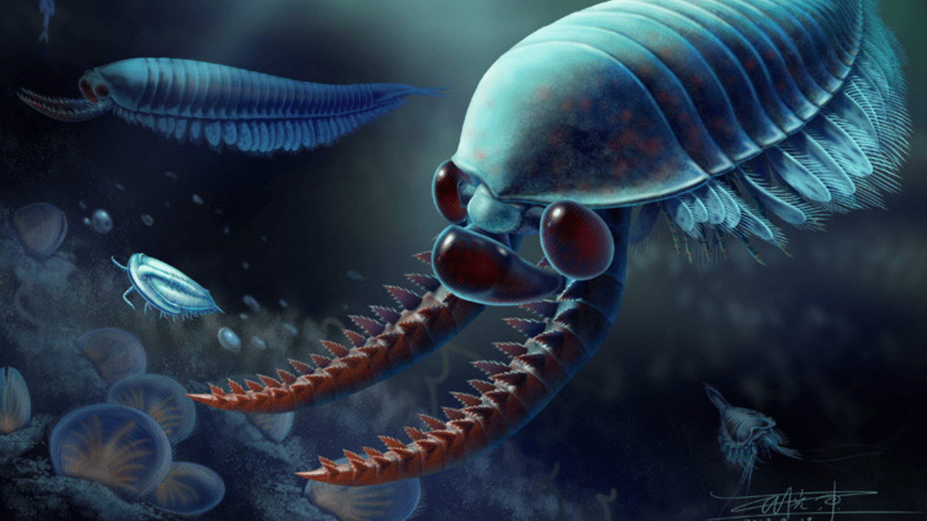 An artistic reconstruction of Kylinxia, a relative of present day insects and crustaceans. It has two extended forelimbs, a round and segmented body, and three eyes on its head.