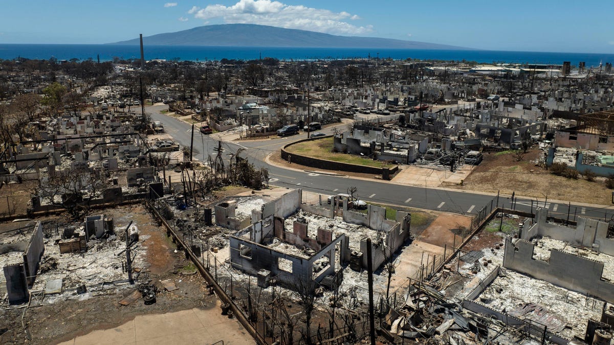 Οι αξιωματούχοι ζητούν δείγματα DNA από συγγενείς αγνοουμένων
