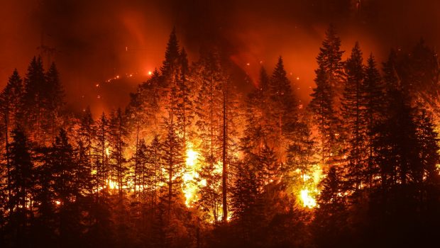 Πώς θα ζήσουμε σε μια ήπειρο που φλέγεται - Τι κάνουμε λάθος με τα δάση και τις φωτιές;