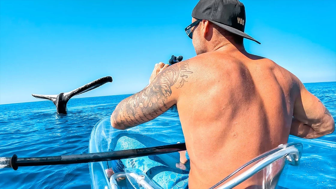 Σπάνια πλάνα: Μεγάπτερη φάλαινα παραμένει ακίνητη με την ουρά έξω από την επιφάνεια